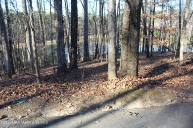 Gorgeous view over the 11 acre pond in Stillwater's Resort on Stillwaters Golf and Country Club in Alabama - for sale on GolfHomes.com, golf home, golf lot