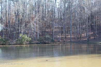 Gorgeous view over the 11 acre pond in Stillwater's Resort on Stillwaters Golf and Country Club in Alabama - for sale on GolfHomes.com, golf home, golf lot