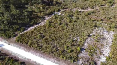 SELLING TWO LOTS SIDE BY SIDE S5125213  S5125217 WITH CITY WATER on Indian Lake Estates Golf and Country Club in Florida - for sale on GolfHomes.com, golf home, golf lot