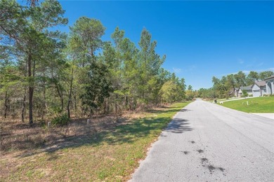 Build your dream home in the desirable Oak Village of Sugarmill on Sugarmill Woods Golf and Country Club in Florida - for sale on GolfHomes.com, golf home, golf lot