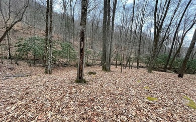 BEAUTIFULLY WOODED LOT IN UPSCALE SUBDIVISION IN THE MOUNTAINS on Mountain Harbour Golf Club in North Carolina - for sale on GolfHomes.com, golf home, golf lot