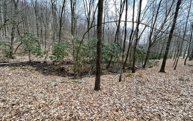 BEAUTIFULLY WOODED LOT IN UPSCALE SUBDIVISION IN THE MOUNTAINS on Mountain Harbour Golf Club in North Carolina - for sale on GolfHomes.com, golf home, golf lot