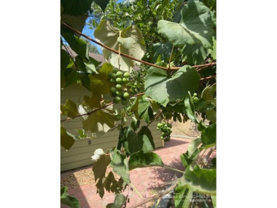 The Mountains Are Calling!!!!!Built in 1994 and loved since on Oak Tree Country Club in California - for sale on GolfHomes.com, golf home, golf lot