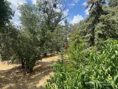 The Mountains Are Calling!!!!!Built in 1994 and loved since on Oak Tree Country Club in California - for sale on GolfHomes.com, golf home, golf lot