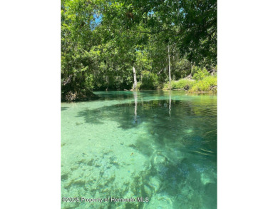 ***Seller is motivated/looking for offers**** All freshned up on Brookridge Country Club in Florida - for sale on GolfHomes.com, golf home, golf lot