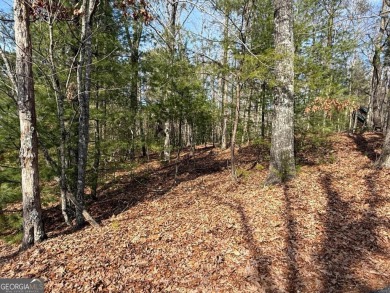 Welcome to the desirable mountain community of Buckhorn Estates on White Path Golf Club in Georgia - for sale on GolfHomes.com, golf home, golf lot