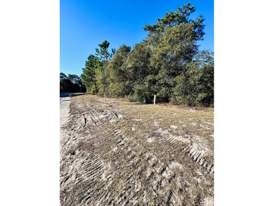 Welcome to your next new homesite and one of Florida's most on St. James Bay in Florida - for sale on GolfHomes.com, golf home, golf lot