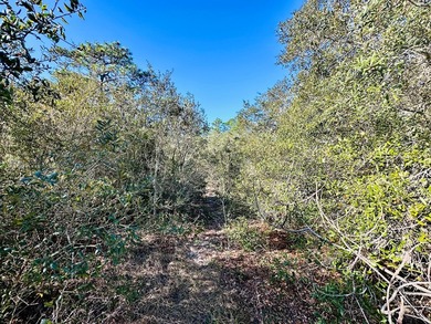 Welcome to your next new homesite and one of Florida's most on St. James Bay in Florida - for sale on GolfHomes.com, golf home, golf lot