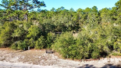 Welcome to your next new homesite and one of Florida's most on St. James Bay in Florida - for sale on GolfHomes.com, golf home, golf lot