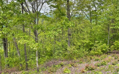This beautiful lot is waiting for you to bring your building on Mountain Harbour Golf Club in North Carolina - for sale on GolfHomes.com, golf home, golf lot