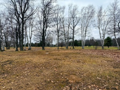 Spacious and beautifully updated duplex featuring 3 bedrooms and on The Oaks At Kincheloe in Michigan - for sale on GolfHomes.com, golf home, golf lot