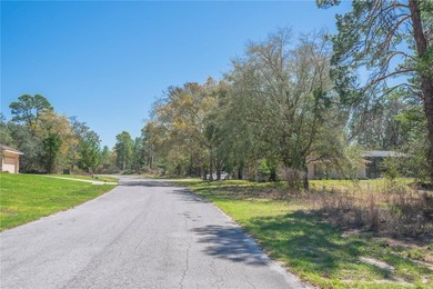 Build your dream home in the desirable Oak Village of Sugarmill on Sugarmill Woods Golf and Country Club in Florida - for sale on GolfHomes.com, golf home, golf lot
