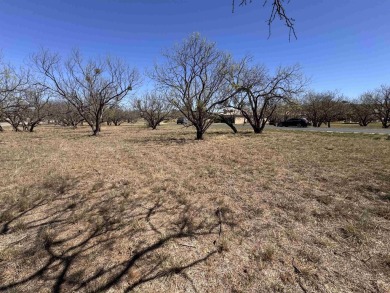 Located near the prestigious Slick Rock Golf Course, this on Slick Rock Golf Course - Horseshoe Bay in Texas - for sale on GolfHomes.com, golf home, golf lot