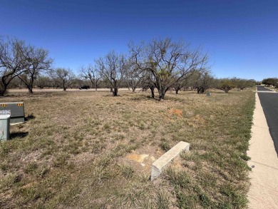Located near the prestigious Slick Rock Golf Course, this on Slick Rock Golf Course - Horseshoe Bay in Texas - for sale on GolfHomes.com, golf home, golf lot