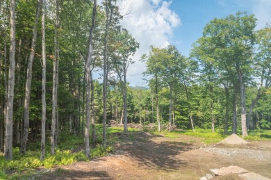 The Mountain Ridge community is newly developed and this is the on Hermitage Club Golf Course in Vermont - for sale on GolfHomes.com, golf home, golf lot