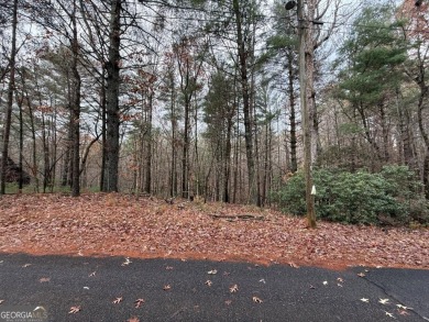 Beautiful and nice-laying lot located in the upscale community on White Path Golf Club in Georgia - for sale on GolfHomes.com, golf home, golf lot