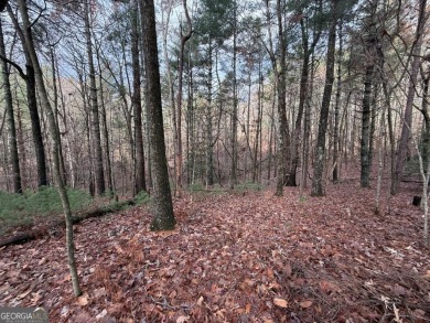Beautiful and nice-laying lot located in the upscale community on White Path Golf Club in Georgia - for sale on GolfHomes.com, golf home, golf lot