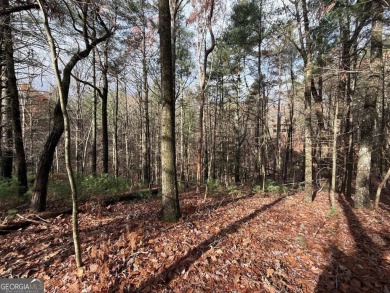 Beautiful and nice-laying lot located in the upscale community on White Path Golf Club in Georgia - for sale on GolfHomes.com, golf home, golf lot
