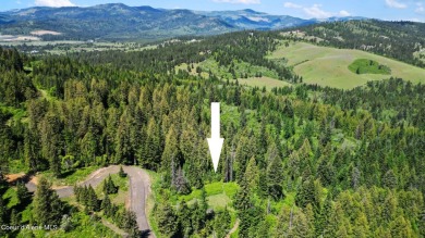 HOMESITE #114 AT CDA NATIONAL RESERVE. Surrounded by undeveloped on CDA National Golf Course in Idaho - for sale on GolfHomes.com, golf home, golf lot