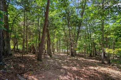 Don't miss this rare chance to build in the highly desirable on Blacksburg Country Club in Virginia - for sale on GolfHomes.com, golf home, golf lot
