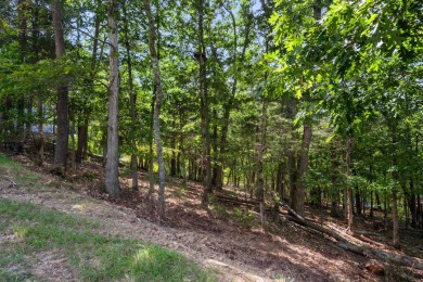 Don't miss this rare chance to build in the highly desirable on Blacksburg Country Club in Virginia - for sale on GolfHomes.com, golf home, golf lot