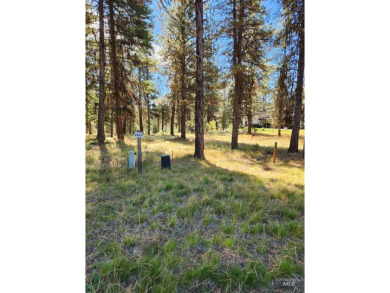 BUILD YOUR DREAM HOME! No need to install well or septic, both on Jug Mountain Ranch Golf Course in Idaho - for sale on GolfHomes.com, golf home, golf lot