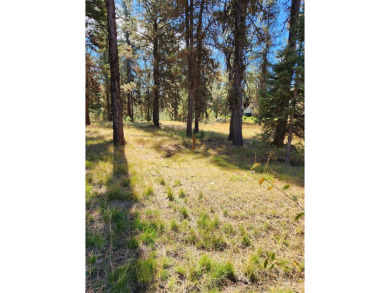 BUILD YOUR DREAM HOME! No need to install well or septic, both on Jug Mountain Ranch Golf Course in Idaho - for sale on GolfHomes.com, golf home, golf lot