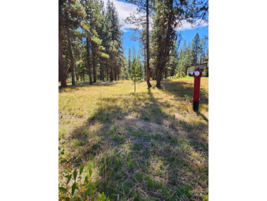 BUILD YOUR DREAM HOME! No need to install well or septic, both on Jug Mountain Ranch Golf Course in Idaho - for sale on GolfHomes.com, golf home, golf lot