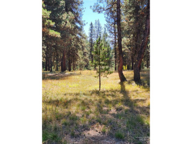 BUILD YOUR DREAM HOME! No need to install well or septic, both on Jug Mountain Ranch Golf Course in Idaho - for sale on GolfHomes.com, golf home, golf lot