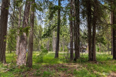 Are you ready to experience the last expansive  1/2  acre on Suncadia Resort in Washington - for sale on GolfHomes.com, golf home, golf lot