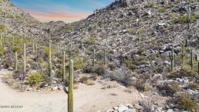 New Lower Price on this luxury custom home development lot. Here on Heritage Highlands At Dove Mountain in Arizona - for sale on GolfHomes.com, golf home, golf lot