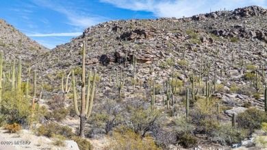 New Lower Price on this luxury custom home development lot. Here on Heritage Highlands At Dove Mountain in Arizona - for sale on GolfHomes.com, golf home, golf lot