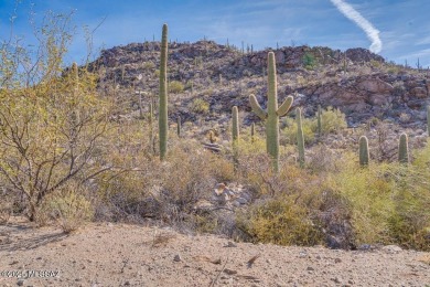 New Lower Price on this luxury custom home development lot. Here on Heritage Highlands At Dove Mountain in Arizona - for sale on GolfHomes.com, golf home, golf lot