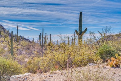 New Lower Price on this luxury custom home development lot. Here on Heritage Highlands At Dove Mountain in Arizona - for sale on GolfHomes.com, golf home, golf lot