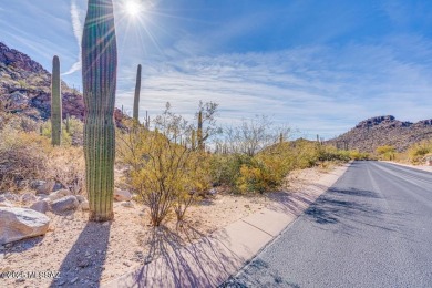 New Lower Price on this luxury custom home development lot. Here on Heritage Highlands At Dove Mountain in Arizona - for sale on GolfHomes.com, golf home, golf lot