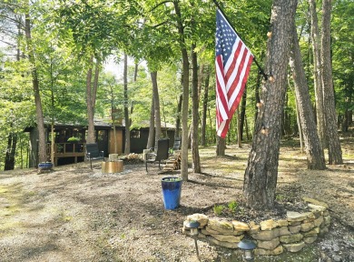 Welcome to your perfect cabin in the woods in Hide A-Way Hills! on Hide-A-Way Hills Golf Club in Ohio - for sale on GolfHomes.com, golf home, golf lot