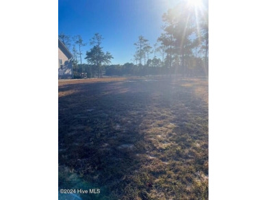 Discover the perfect homesite in Carolina Place, offering on South Harbour Golf Links in North Carolina - for sale on GolfHomes.com, golf home, golf lot