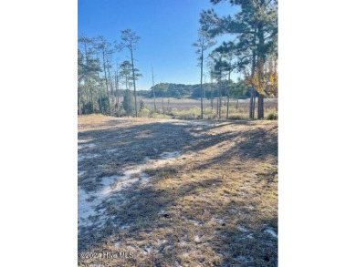 Discover the perfect homesite in Carolina Place, offering on South Harbour Golf Links in North Carolina - for sale on GolfHomes.com, golf home, golf lot