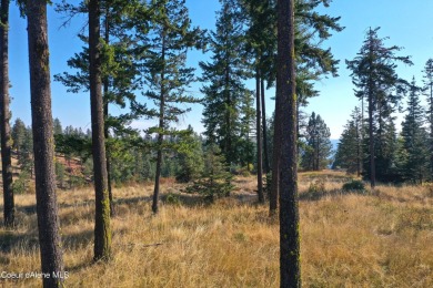 BEAUTIFUL BUILDING SITE IN POLO CIELO AT PRESTIGIOUS BLACK ROCK on The Golf Club at Black Rock in Idaho - for sale on GolfHomes.com, golf home, golf lot