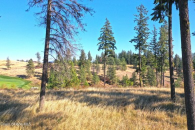 BEAUTIFUL BUILDING SITE IN POLO CIELO AT PRESTIGIOUS BLACK ROCK on The Golf Club at Black Rock in Idaho - for sale on GolfHomes.com, golf home, golf lot
