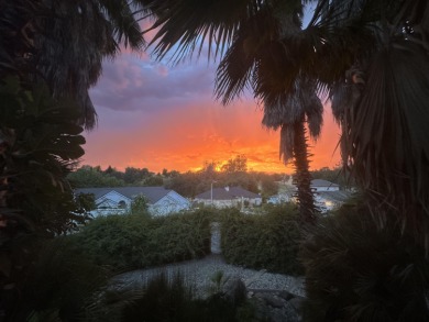 Every day can be a Vacation day amid this palm tree oasis! So on Gold Hills Golf Club in California - for sale on GolfHomes.com, golf home, golf lot