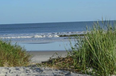 Exceptional Sandpiper Bay Golf Course living and the beauty of on Sandpiper Bay Golf and Country Club in North Carolina - for sale on GolfHomes.com, golf home, golf lot