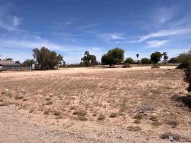 ON THE FAIRWAY, AWESOME VIEWS OF THE MOUNTAINS & THE GOLF COURSE on Butterfield Golf Course in Arizona - for sale on GolfHomes.com, golf home, golf lot