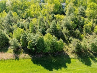 Waterfall Country Club-Golf Course frontage. 2 lots being sold on Waterfall Country Club in Georgia - for sale on GolfHomes.com, golf home, golf lot