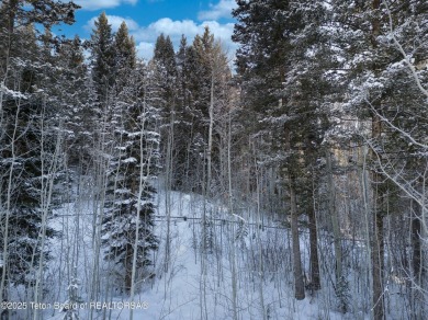 Discover this rare elevated cabin lot in one of the few areas of on Teton Springs Resort and Club in Idaho - for sale on GolfHomes.com, golf home, golf lot