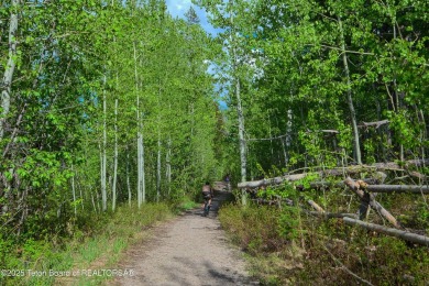 Discover a rare opportunity to own an elevated cabin lot in one on Teton Springs Resort and Club in Idaho - for sale on GolfHomes.com, golf home, golf lot