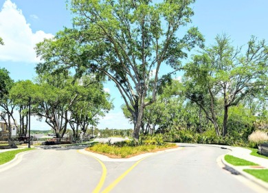 Welcome to your future homesite, 821 Roddin St, in The Retreat on Daniel Island Club in South Carolina - for sale on GolfHomes.com, golf home, golf lot