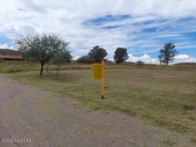 Gardeners wanted! Available now, a fully improved quarter acre on Kino Springs Country Club in Arizona - for sale on GolfHomes.com, golf home, golf lot