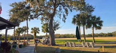 Leisure and Lifestyle await your arrival in beautiful Odessa on Silver Dollar Golf and Trap Club in Florida - for sale on GolfHomes.com, golf home, golf lot