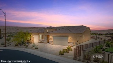 Are you looking for a Del Webb home with privacy, views, great on Conestoga Golf Club in Nevada - for sale on GolfHomes.com, golf home, golf lot